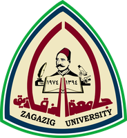 Zagazig University Hospitals